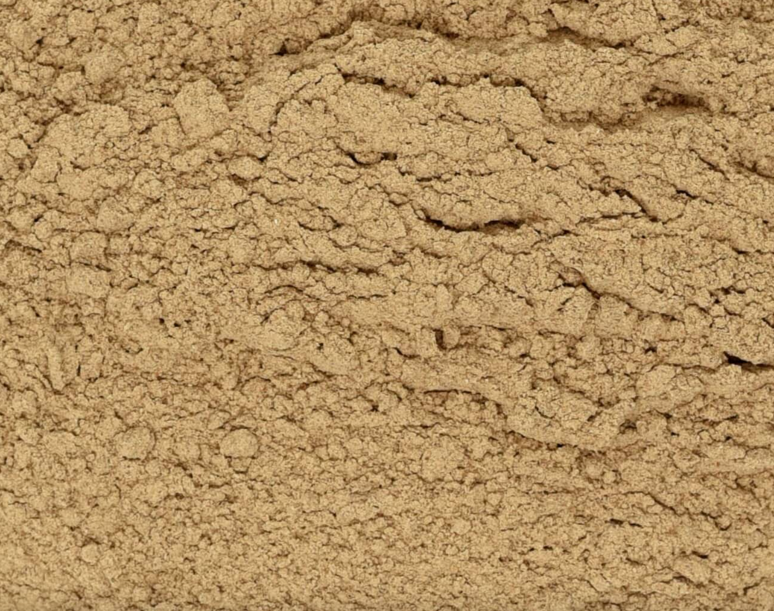 Close-up of dried shiitake mushroom powder, showing fine brown powder used for teas and herbal remedies.